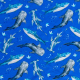 Swim Knit Nylon Spandex Sharks on Royal Blue