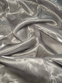 Liquid Shimmery Organza