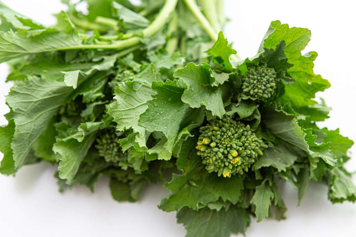Rapini / Broccoli Rabe