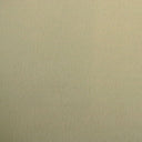 Polyester Upholstery Velvet Fabric Dresden Vegan Mohair