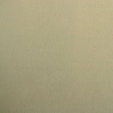 Polyester Upholstery Velvet Fabric Dresden Vegan Mohair