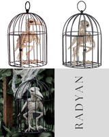 Skeleton Crow in Cage