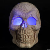 Skull Mister