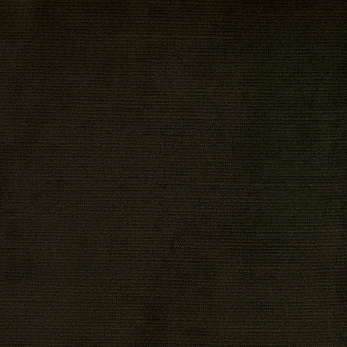 Velvet Upholstery Fabric Sloane Slubbed Plush