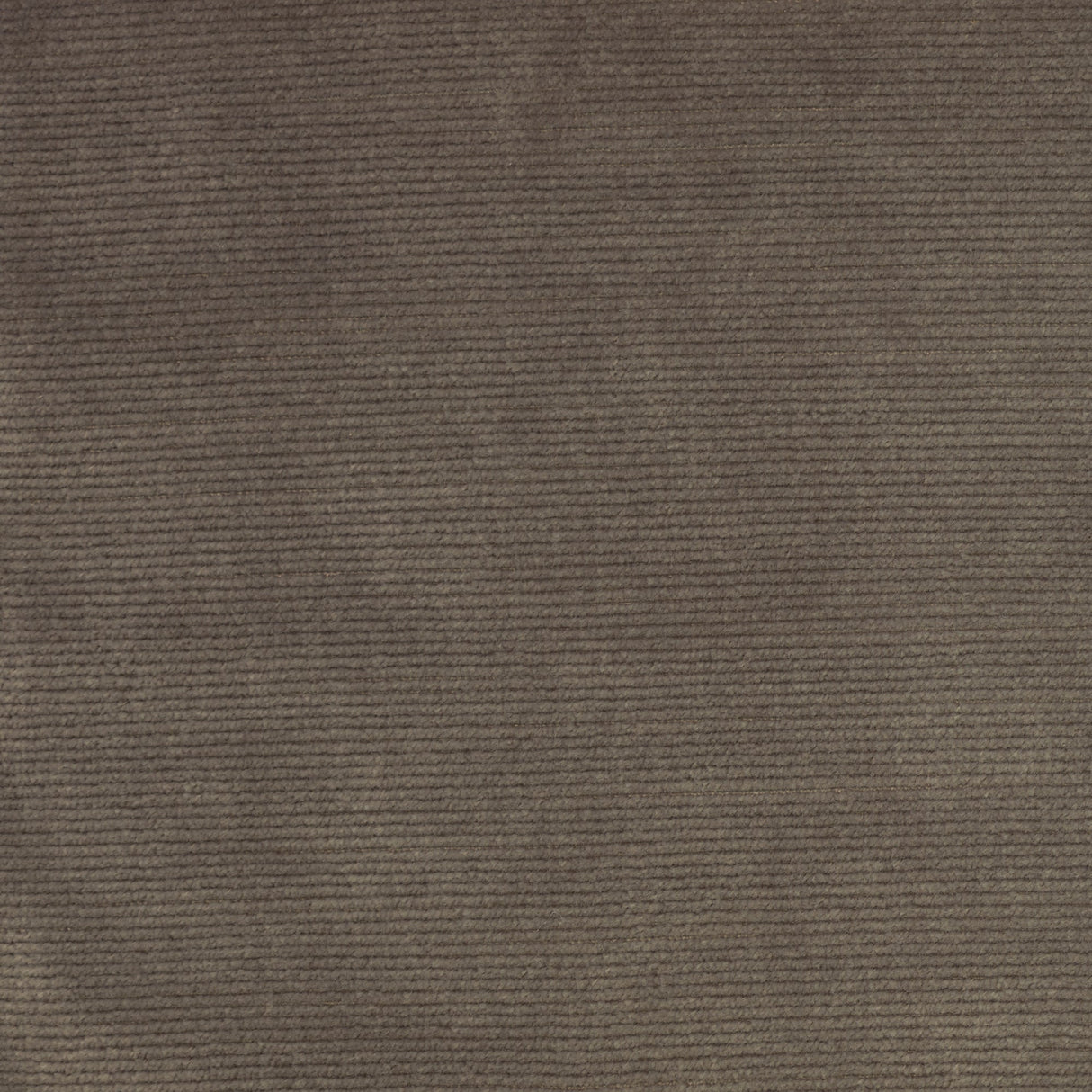 Velvet Upholstery Fabric Sloane Slubbed Plush