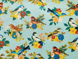 Quilting Cotton Songbird Calico Brother Sister Design Studio