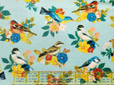 Quilting Cotton Songbird Calico Brother Sister Design Studio