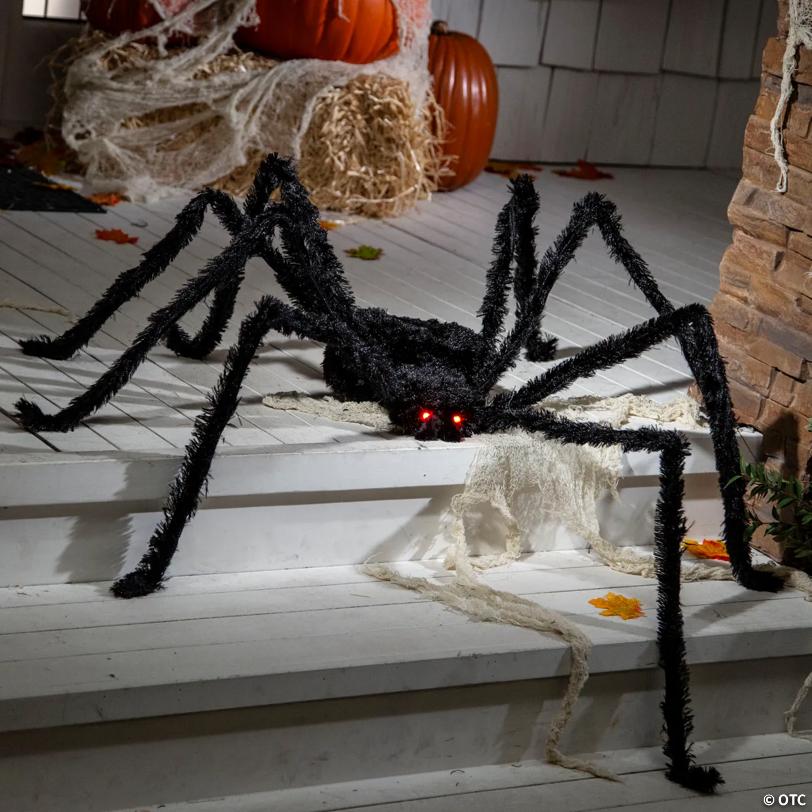 Spider