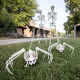 Spider Skeleton Halloween Decoration
