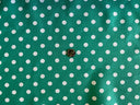 1 Yard Multi-Color Small Polka Dot Poly Cotton Fabric for Crafts Bedding Sewing Masks 60" Width