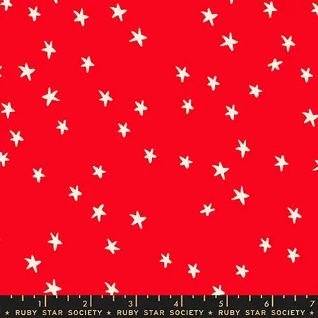 Cotton Print Starry New Ladybug Fabric 43/44 Wide