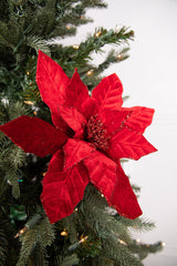 22 Inch x 12.5 Inch Red Velvet Poinsettia Stem