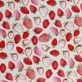 Swim Knit Poly Spandex Strawberries and Creme