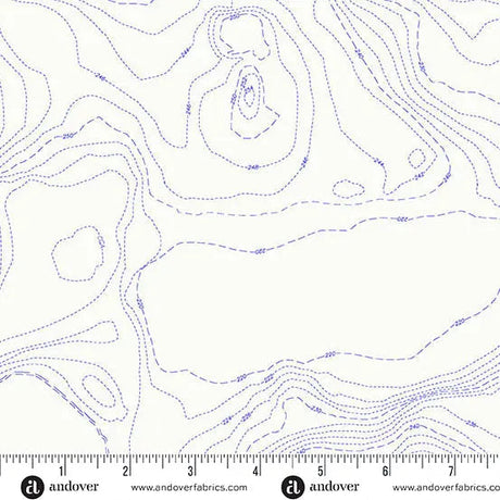 Cotton Print Sun Print Whisper Pond Topography Fabric