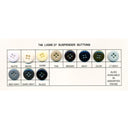 Pant Suspender Buttons Ligne 27 Buttons Fabric - Assorted Colors, L27