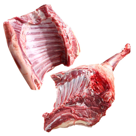 Regular Lamb Front Leg