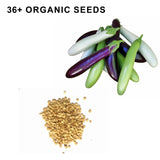 Fingerling Mix Eggplant Heirloom Seeds Good for Containers Patio and Balcony Organic Non GMO