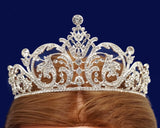Silver Crystal Rhinestone Tiara