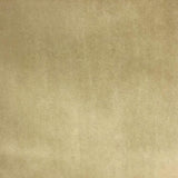 Tuscan Solid Shiny Velvet Fabric - Solid Sheen Velvet, 55" Width (1 Yard)