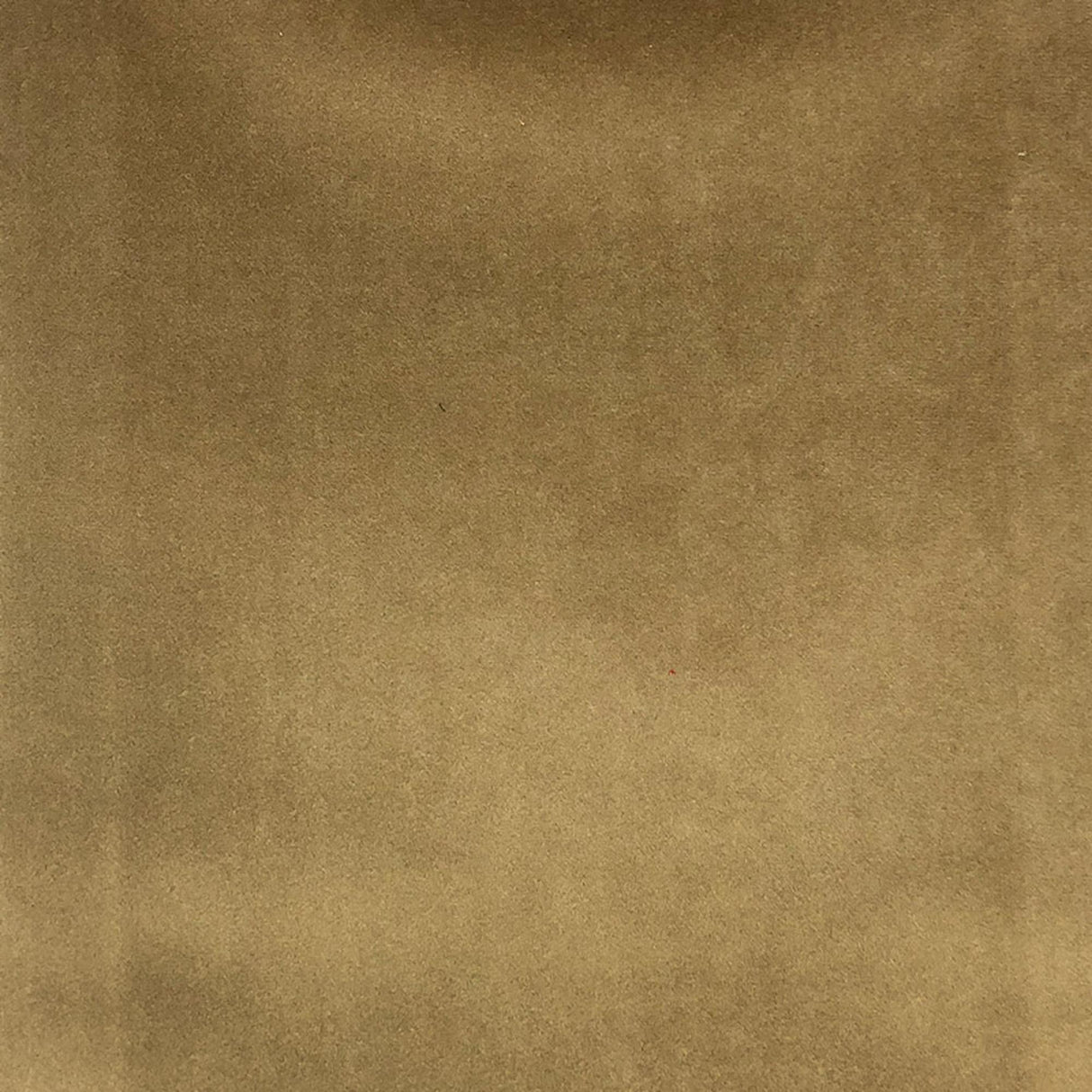 Tuscan Solid Shiny Velvet Fabric - Solid Sheen Velvet, 55" Width (1 Yard)