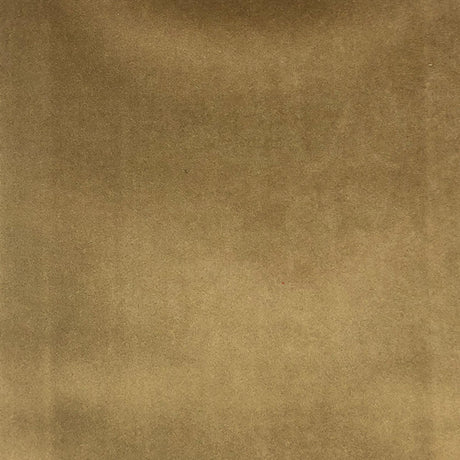 Tuscan Solid Shiny Velvet Fabric - Solid Sheen Velvet, 55" Width (1 Yard)