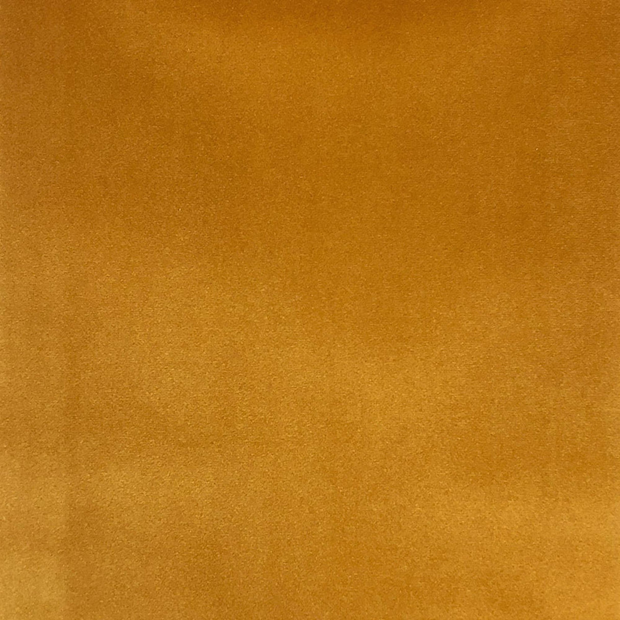 Tuscan Solid Shiny Velvet Fabric - Solid Sheen Velvet, 55" Width (1 Yard)
