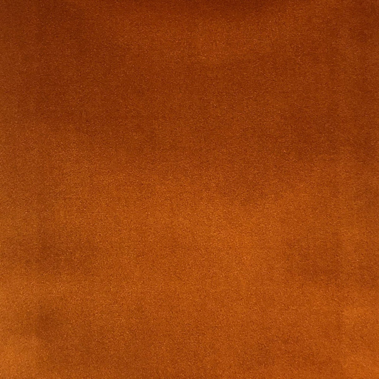 Tuscan Solid Shiny Velvet Fabric - Solid Sheen Velvet, 55" Width (1 Yard)