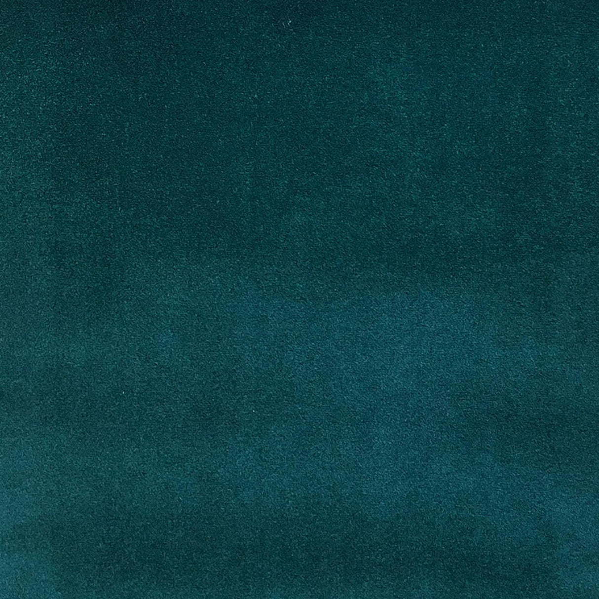 Tuscan Solid Shiny Velvet Fabric - Solid Sheen Velvet, 55" Width (1 Yard)