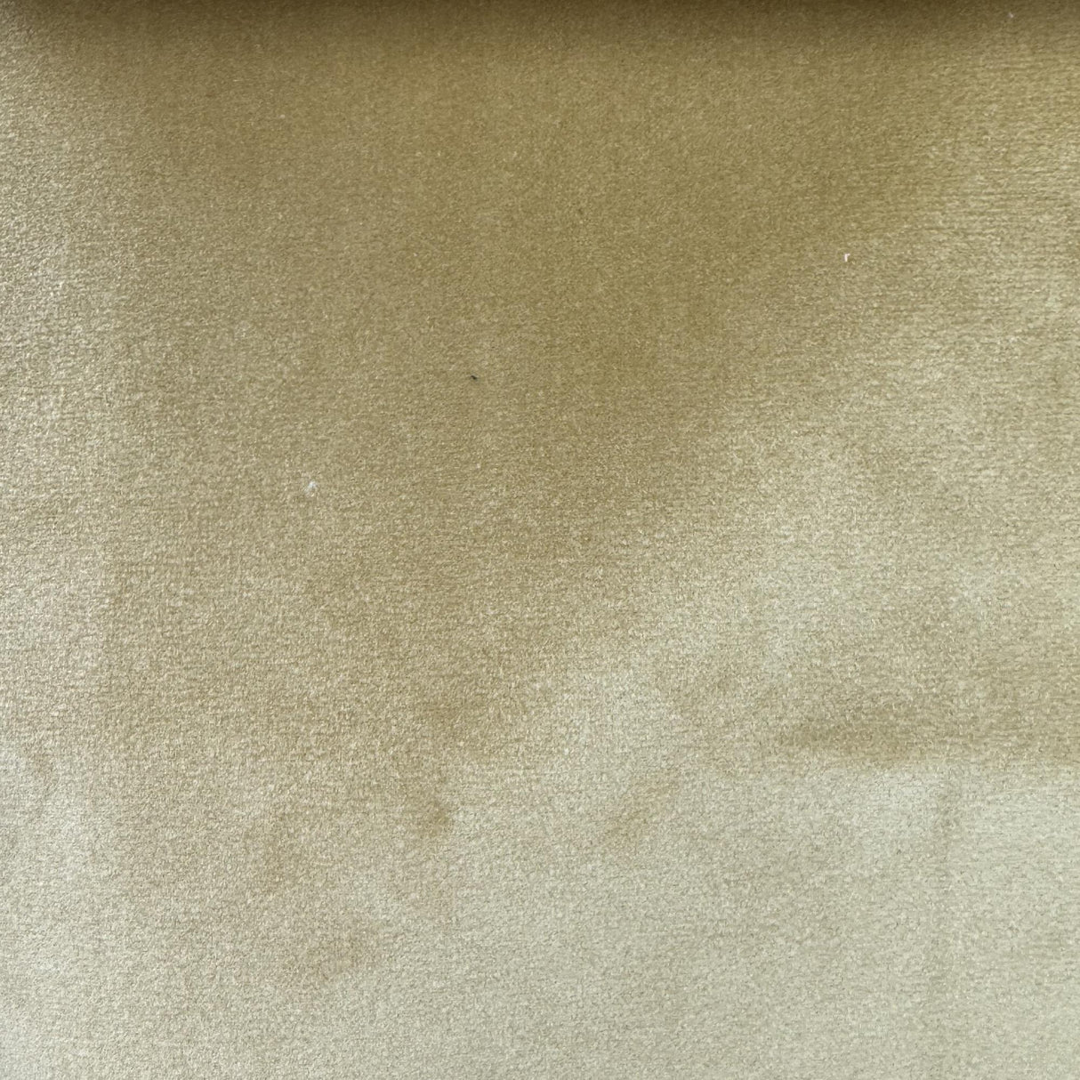 Tuscan Solid Shiny Velvet Fabric - Solid Sheen Velvet, 55" Width (1 Yard)