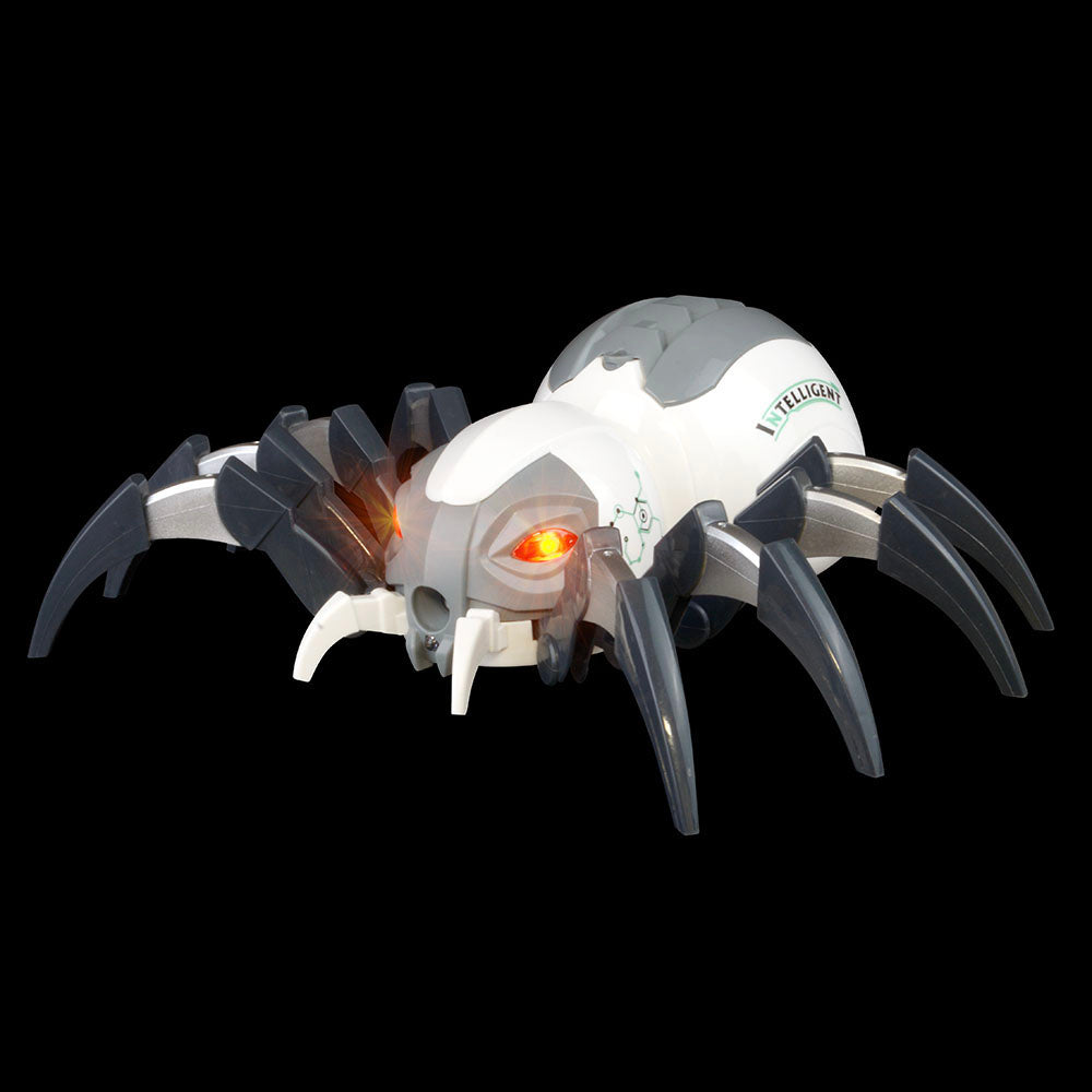 R/C Spray Spider