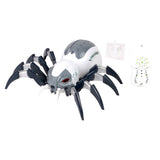 R/C Spray Spider