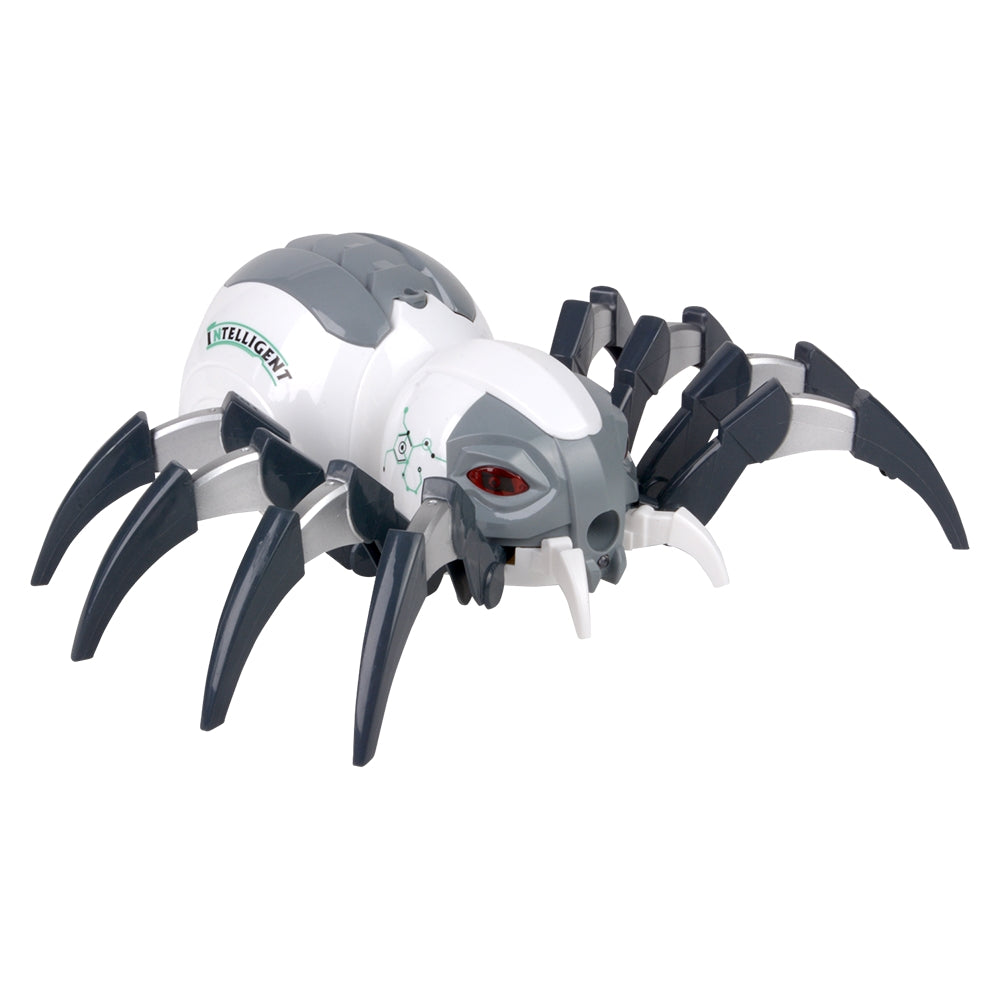 R/C Spray Spider