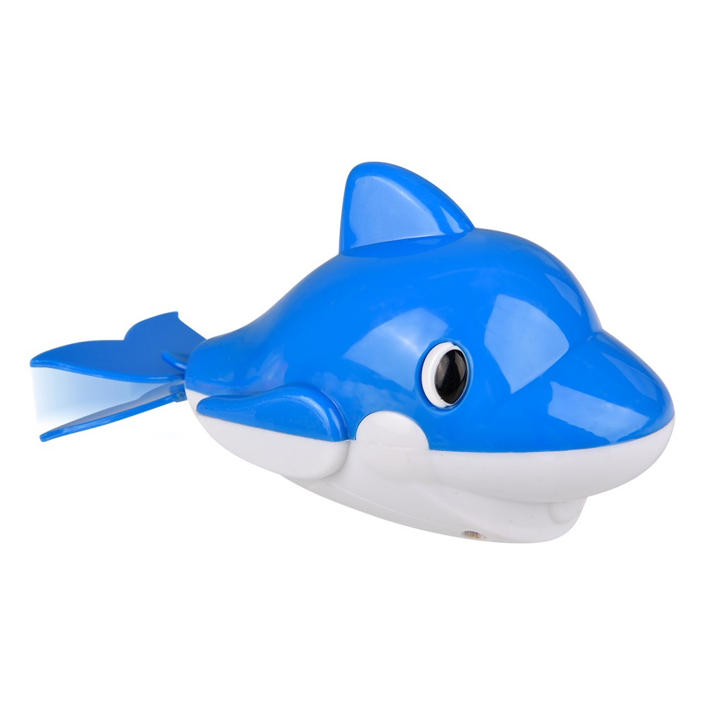 Wind Up Dolphin (12 Pc Display)