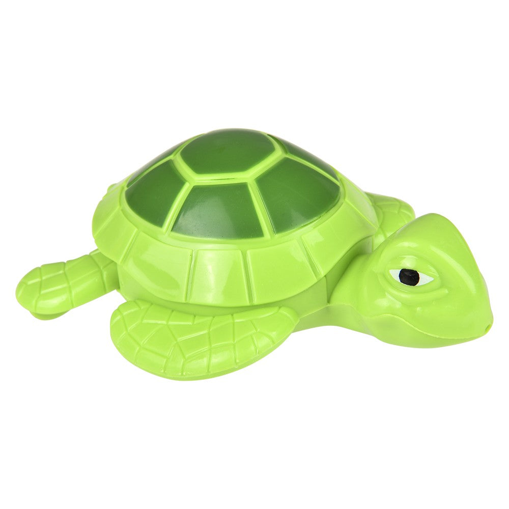 Wind Up Turtle (12 Piece Display)