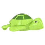 Wind Up Turtle (12 Piece Display)