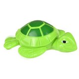 Wind Up Turtle (12 Piece Display)