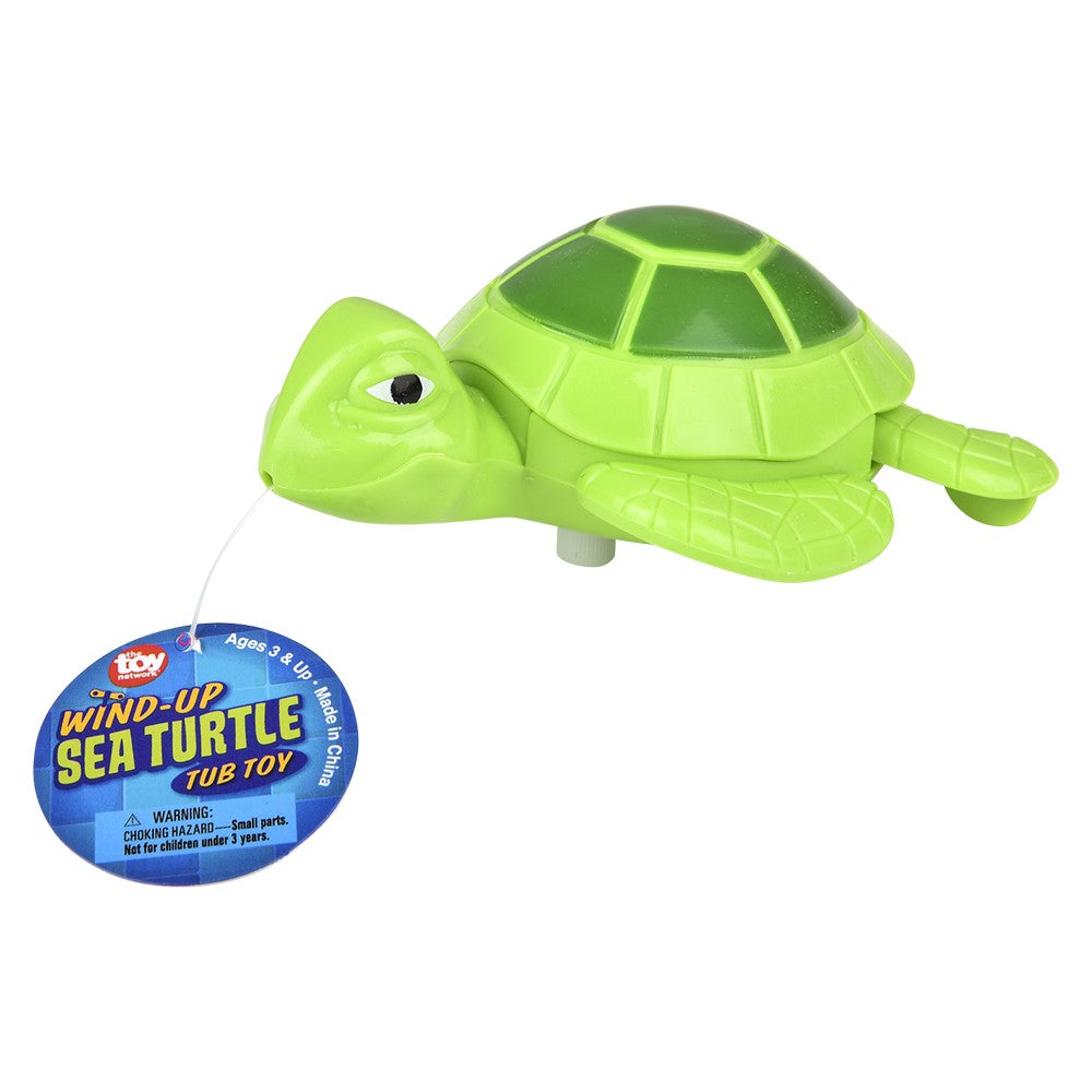 Wind Up Turtle (12 Piece Display)