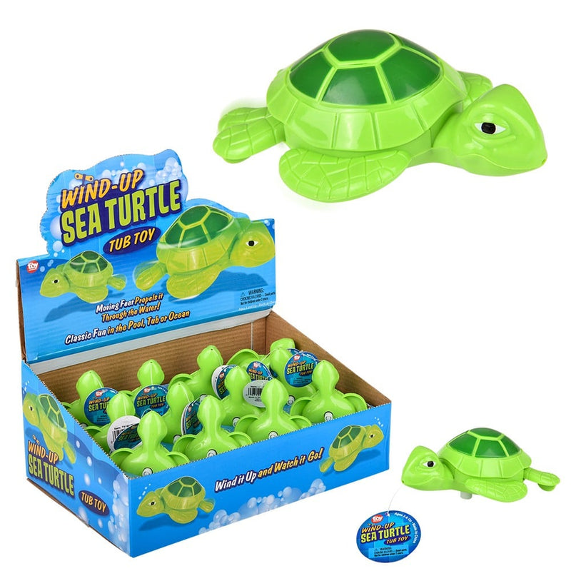 Wind Up Turtle (12 Piece Display)