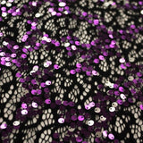 Stretch Lace Sequin Fabric Black