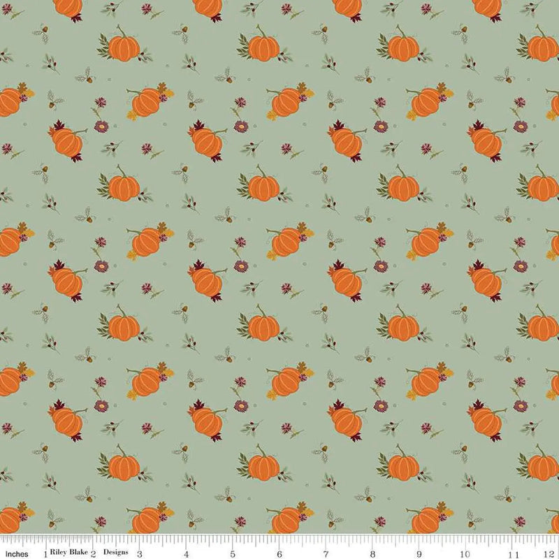 Cotton Fabric The Awe of Autumn Pumpkins Hazy 43/44"