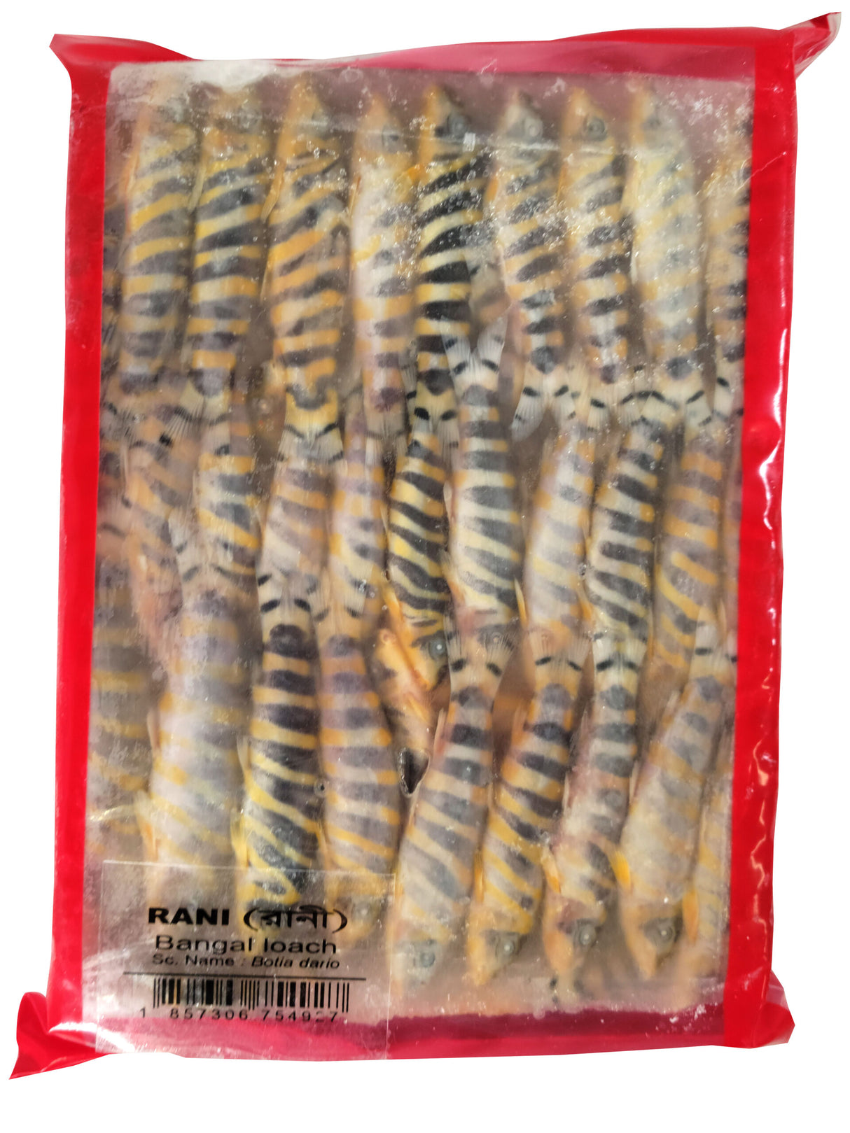 Rani Fish