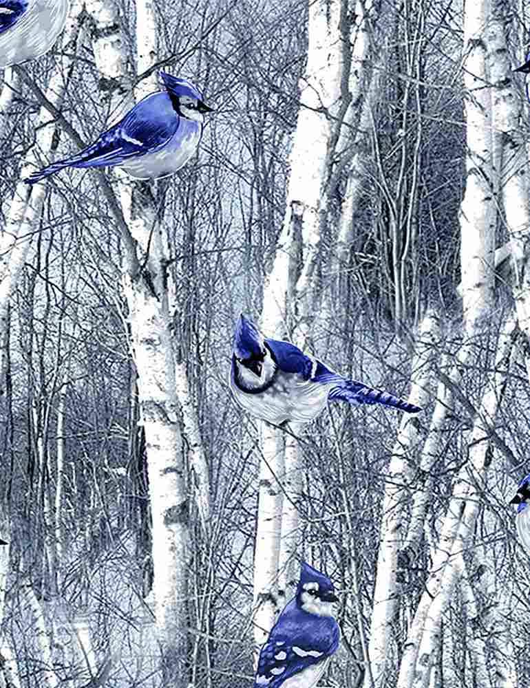 Quilting Cotton Winter Hike Blue Jays in Winter Birch Trees Timeless Treasures