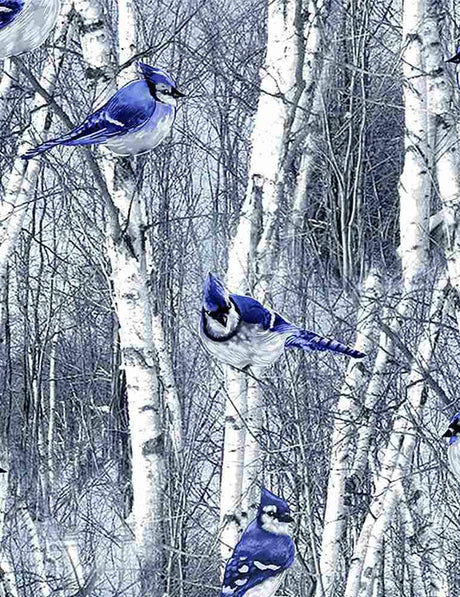 Quilting Cotton Winter Hike Blue Jays in Winter Birch Trees Timeless Treasures