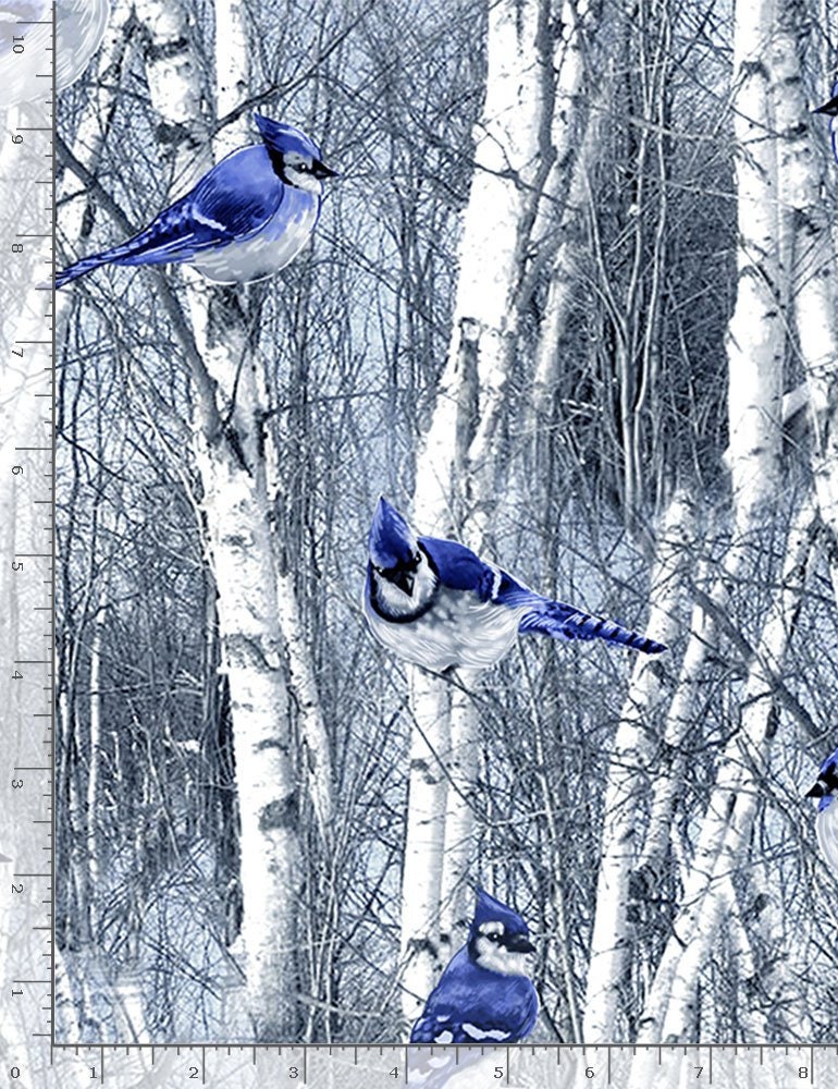 Quilting Cotton Winter Hike Blue Jays in Winter Birch Trees Timeless Treasures