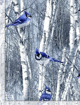 Quilting Cotton Winter Hike Blue Jays in Winter Birch Trees Timeless Treasures
