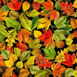 Quilting Cotton Metallic Fall Leaves Harvest Timeless Treasures