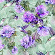 Quilting Cotton Hummingbirds Floral Garden Delight Sage Timeless Treasures