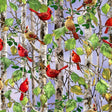 Quilting Cotton Cardinal on Birch Tree Timeless Treasures