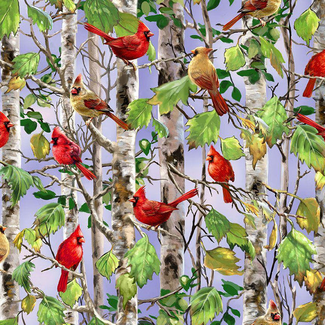 Quilting Cotton Cardinal on Birch Tree Timeless Treasures