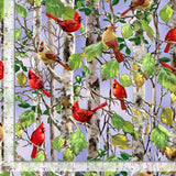 Quilting Cotton Cardinal on Birch Tree Timeless Treasures